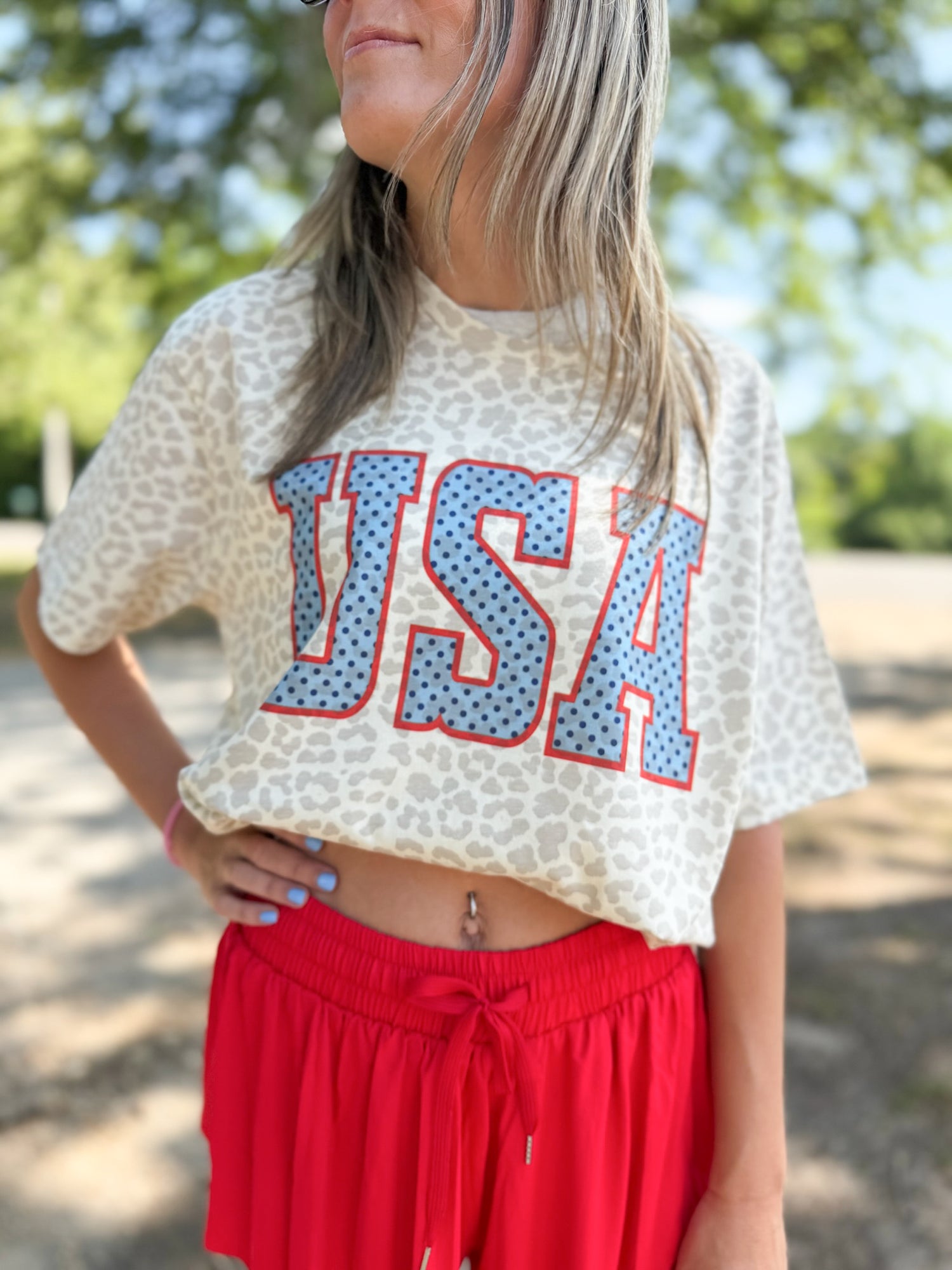 USA on Cheetah!