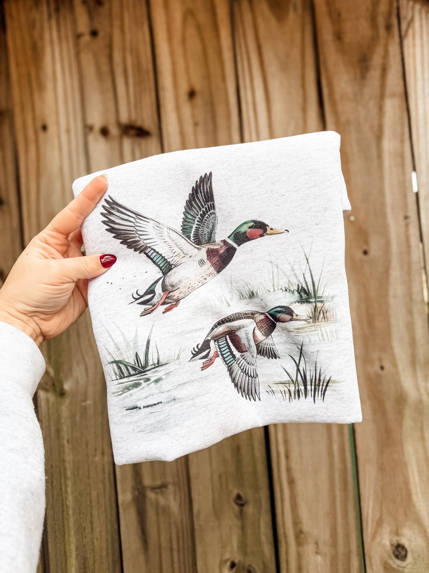 Vintage Mallard Duck (P)