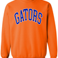 🏈 Varsity Team Name - Sweatshirt